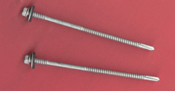 Τρυπανόβιδες κόκκινες